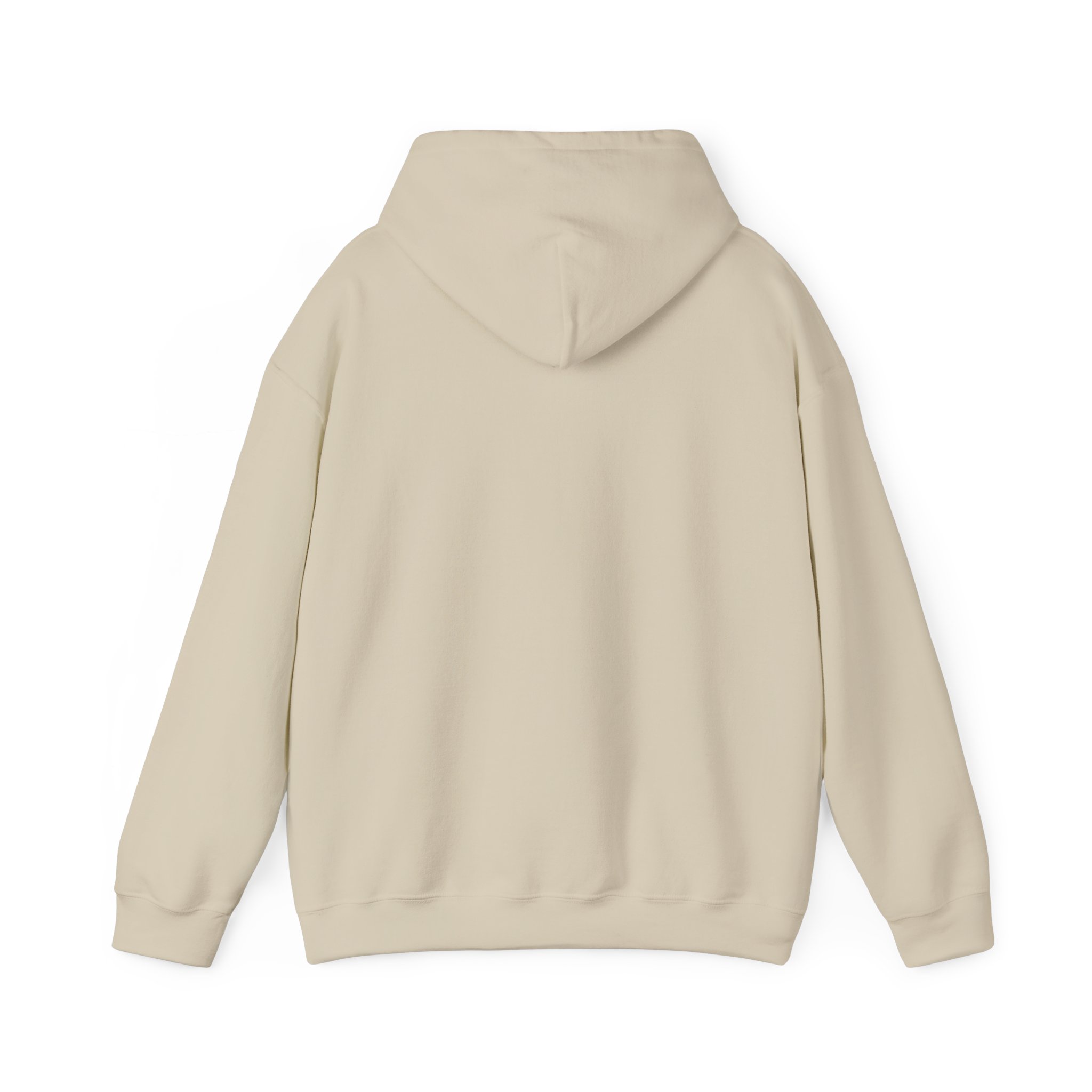 Lift Heavy Stay Pretty Graphic Hoodie - Image 18