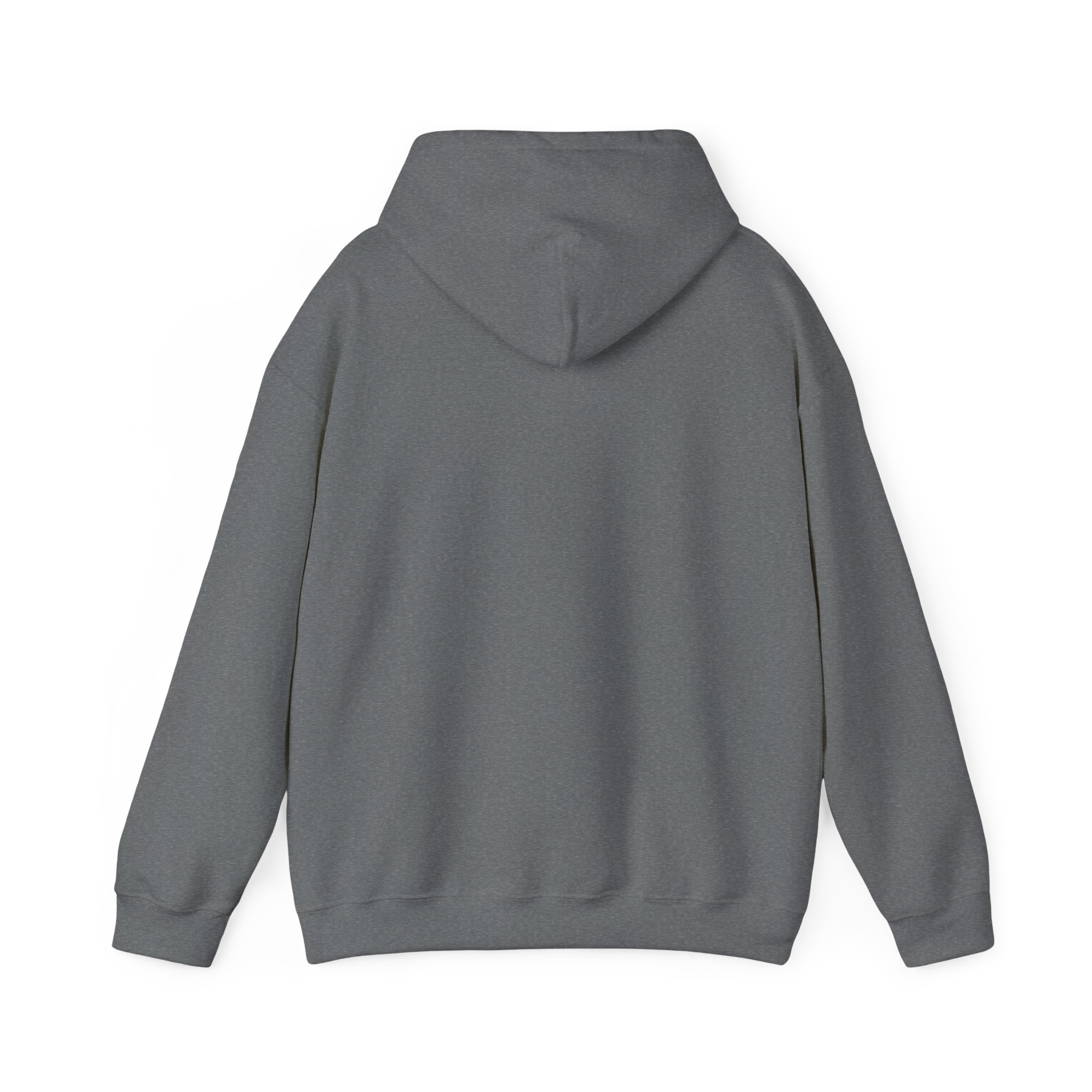 Lift Heavy Stay Pretty Graphic Hoodie - Image 23