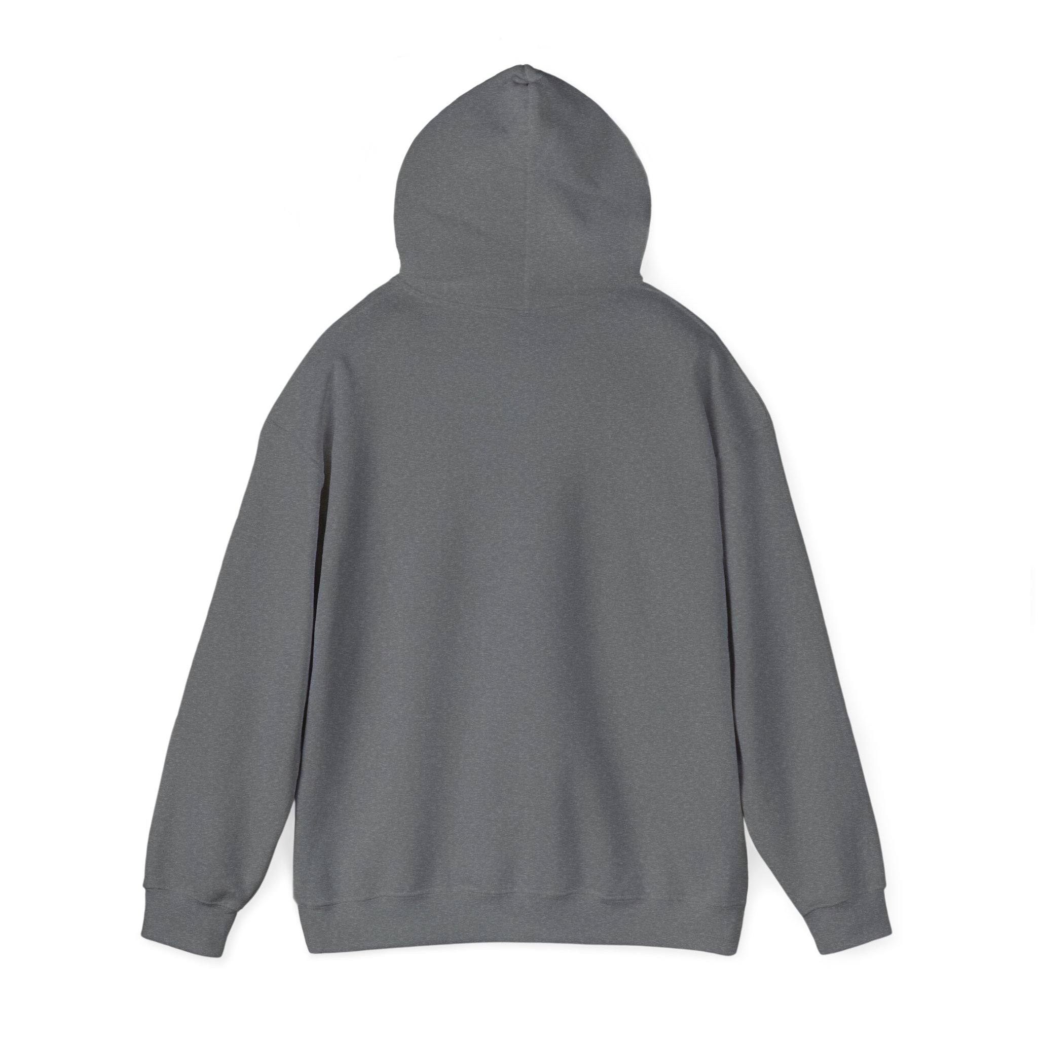 Lift Heavy Stay Pretty Graphic Hoodie - Image 24